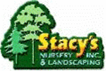 Stacys