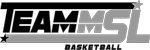 Teammsl_logo