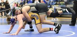 Perrysburg wins 7th straight NLL title
