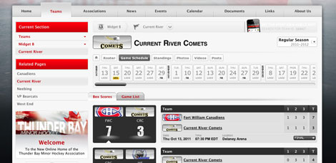 Sport Ngin League Team Pages