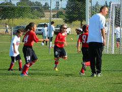Dscn0774_small