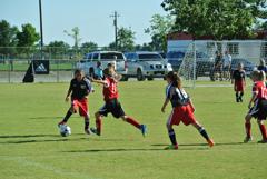 Dsc_1042_small
