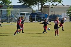 Dsc_1047_small