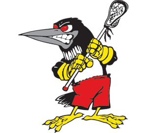 Minnesota Loons Elite Lacrosse Logo