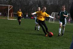 Img_9705_small