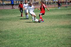 Dsc_0924_small