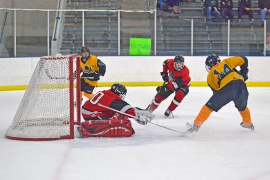 rosemounthockey.org rosemounthockey.org