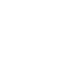 PAINCAVE white logo