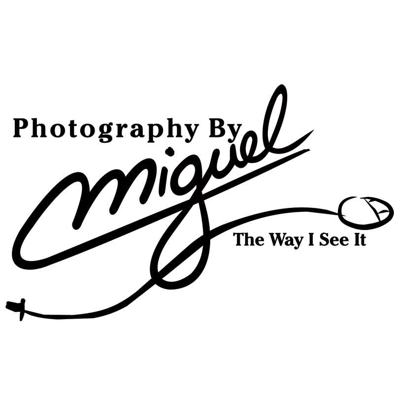 toronto logo design, mississauga logo design, oakville logo design, ontario logo design, corporate branding, logo designers in toronto