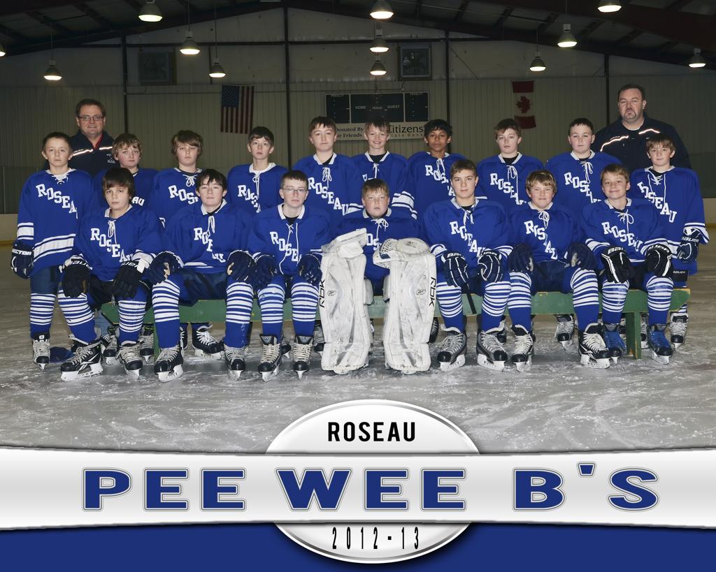 roseauhockeyonline.com roseauhockeyonline.com