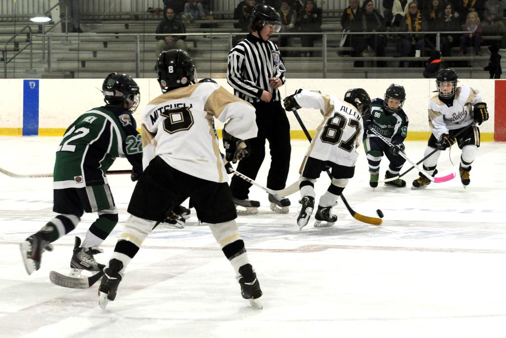 lcahl.pucksystems2.com lcahl.pucksystems2.com