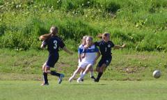 Dsc_0011_small
