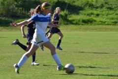 Dsc_0056_small
