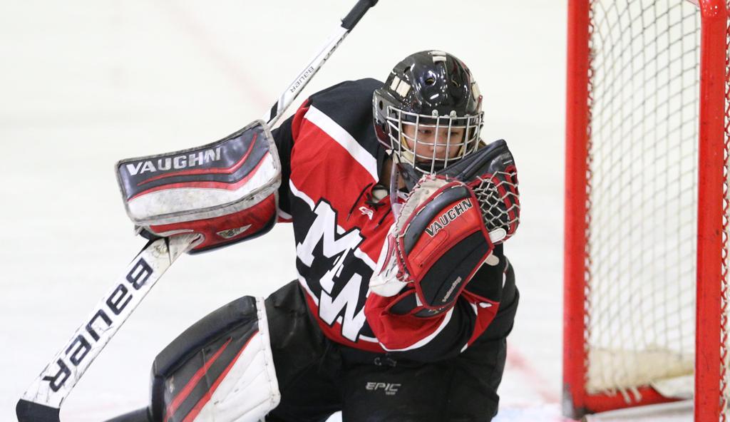 Longtime Summer Teammates Reach Girls Hockey State Tournament