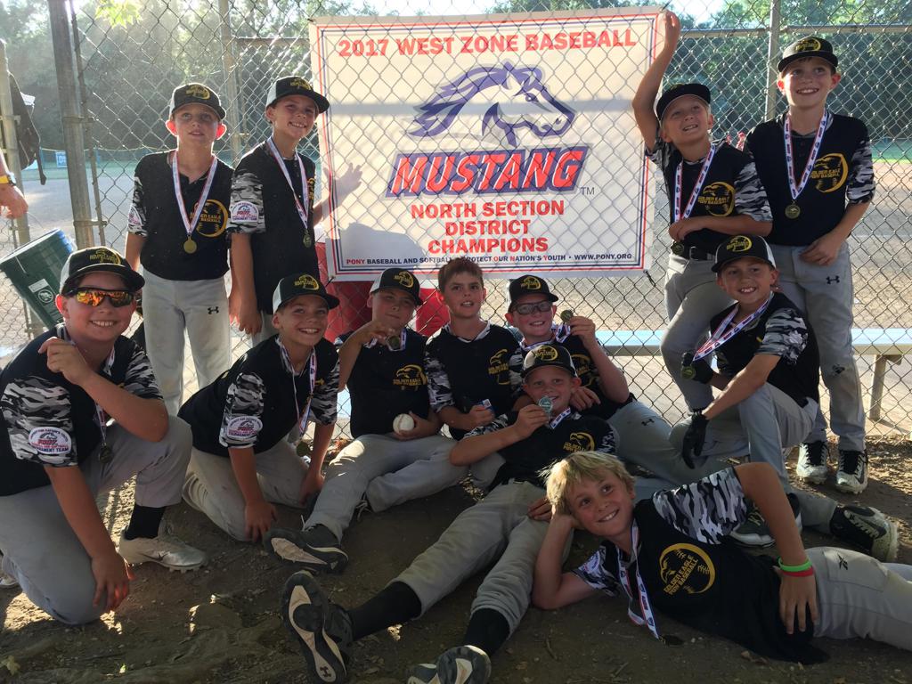 Golden Eagle Baseball