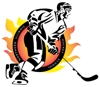 Sponsored by Northern Illinois Hockey School