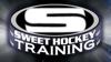 Ngin____sweet_hockey_training_element_view
