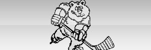 Home Team Logo