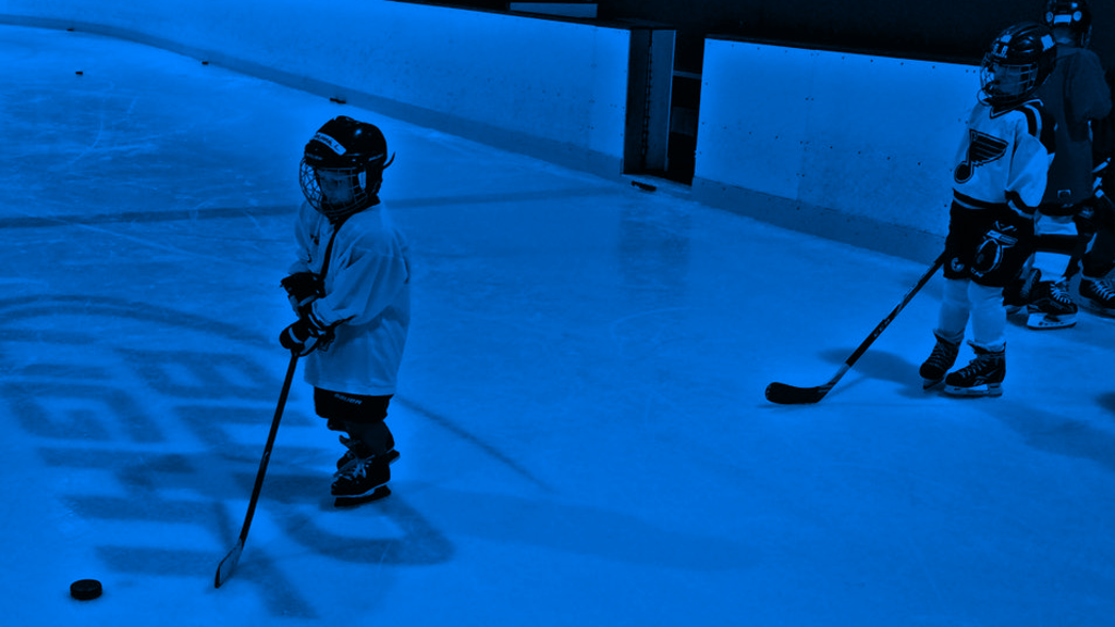 Twin Bridges Lightning Hockey