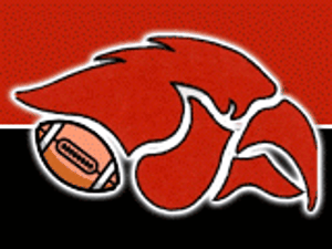 Cedar Springs Youth Football