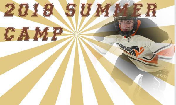 pilots hockey club saha skokie flyers