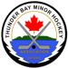 TBMHA Logo