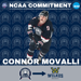 PHC EHL forward Movalli makes NCAA commitment to Wilkes University