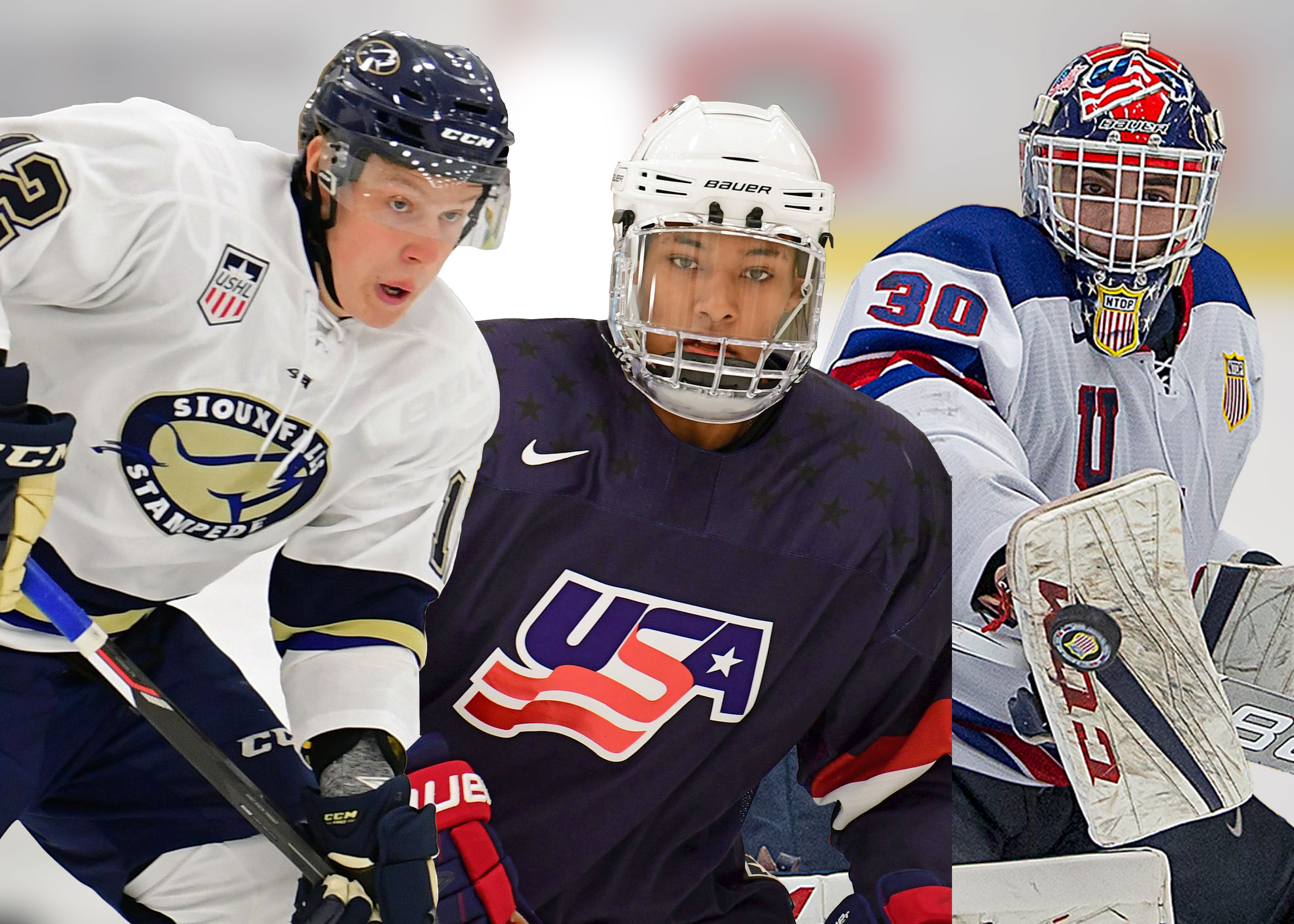 Ushl midget showcase Asian pacific-rim markets for pulp