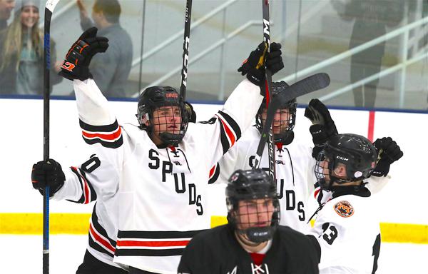 Mark overman on creatine essay 05 image