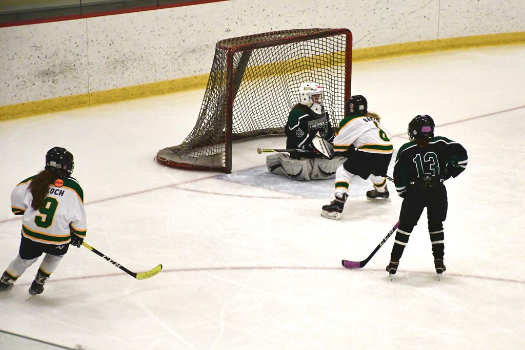 Photos Mounds View Irondale Youth Hockey Association