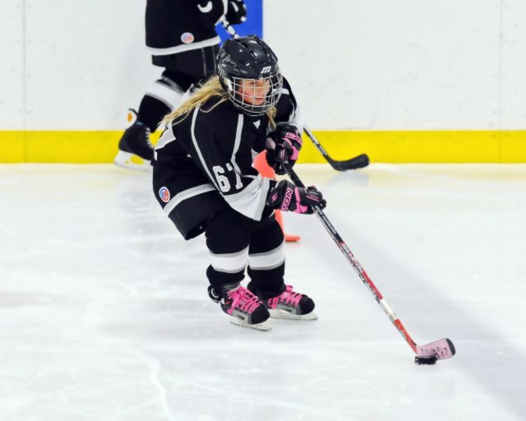 Texas Hockey Day A Success