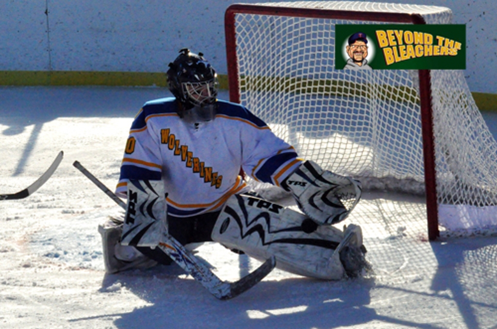 Red Lake Falls at WadenaDeer Creek Photos MN Boys' Hockey Hub