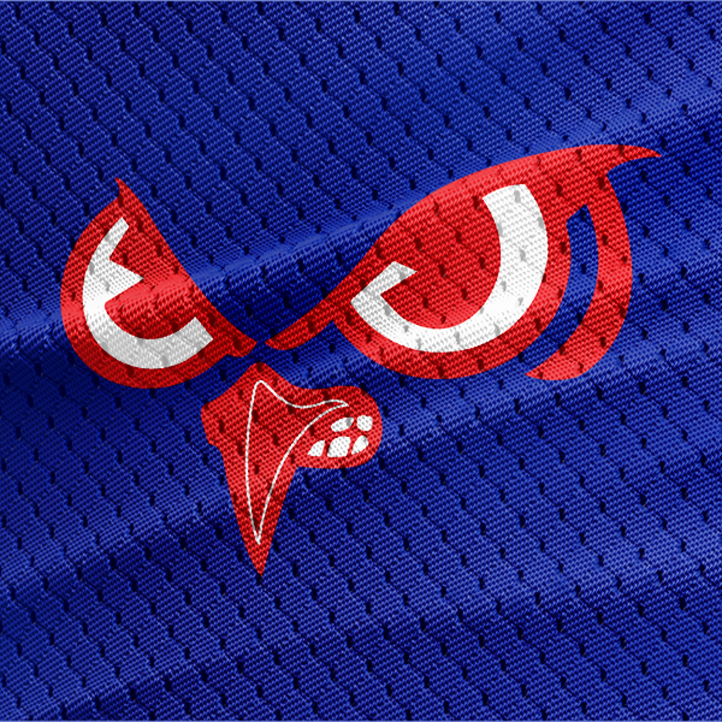 Slinger Owls Blue (7)