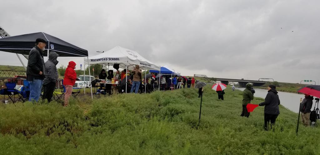 2018 brine shrimp sprints