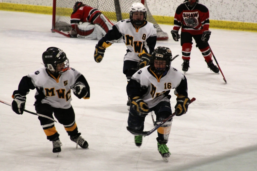 About Milwaukee Winter Club Wildcats