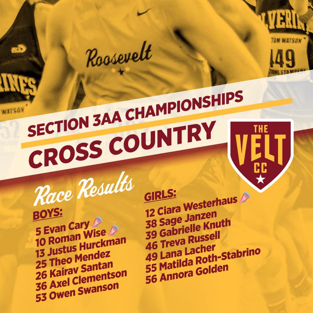 Graphic: Section 3AA Championships Results