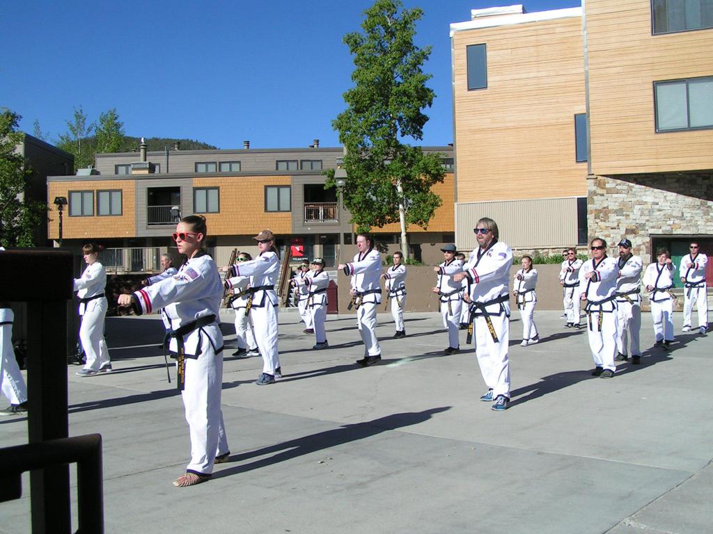 Missouri Taekwondo Institute