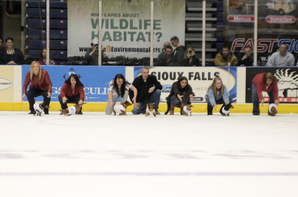 6th annual Sioux Nation Pet Clinic "Wiener Dog Races"