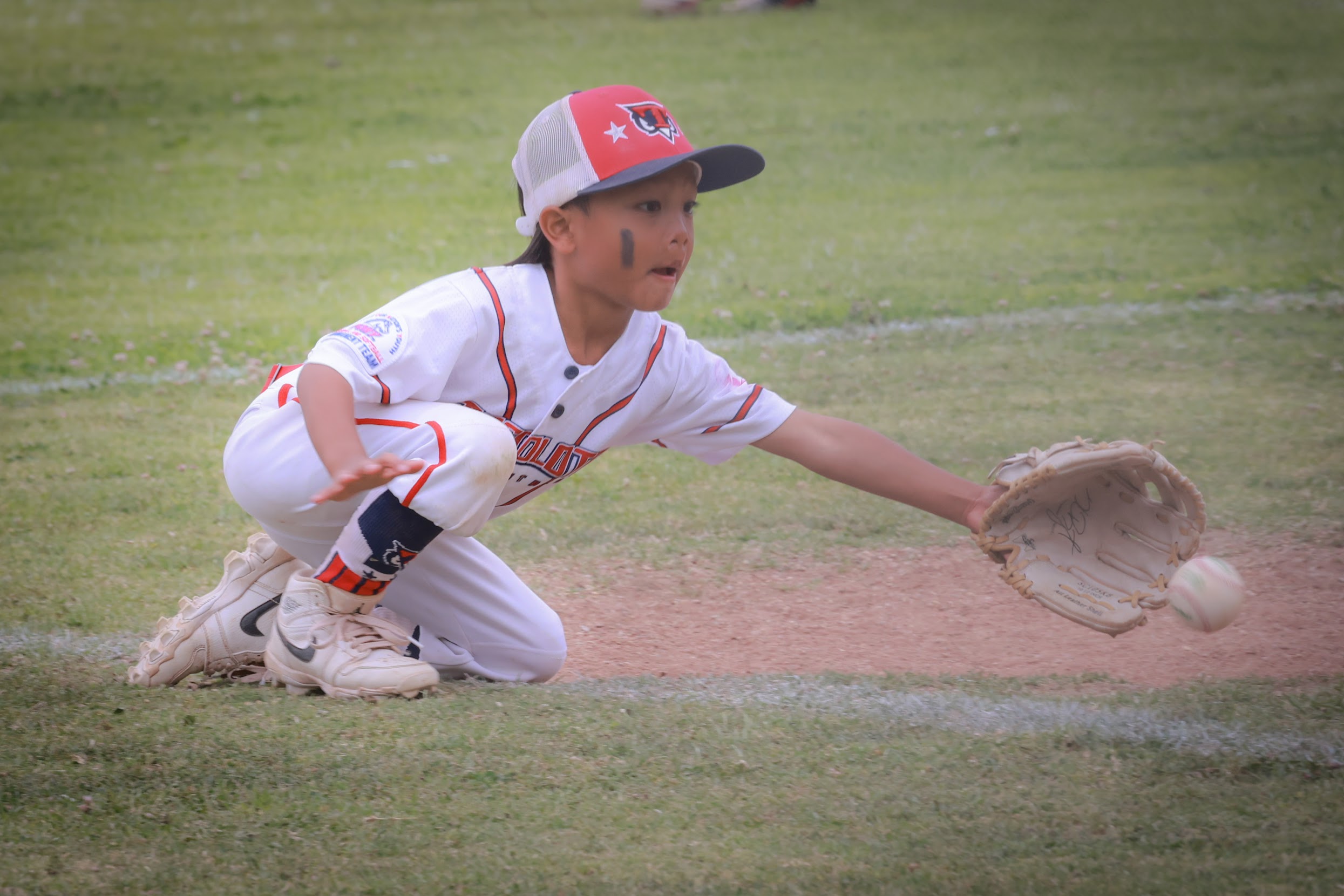 Tecolote Youth Baseball gallery image 9