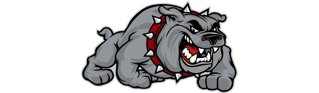 Bulldog Women's Ice Hockey Team