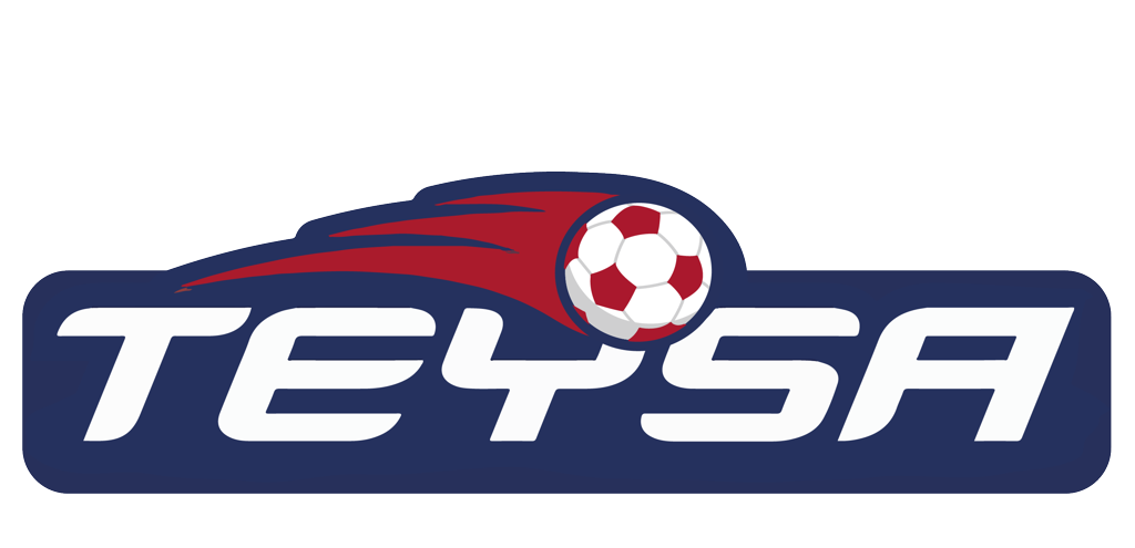 TEYSA logo