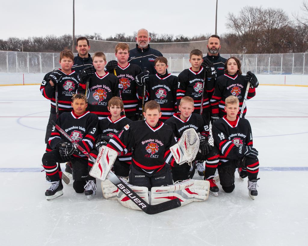 Brandon Valley Ice Cats PWB