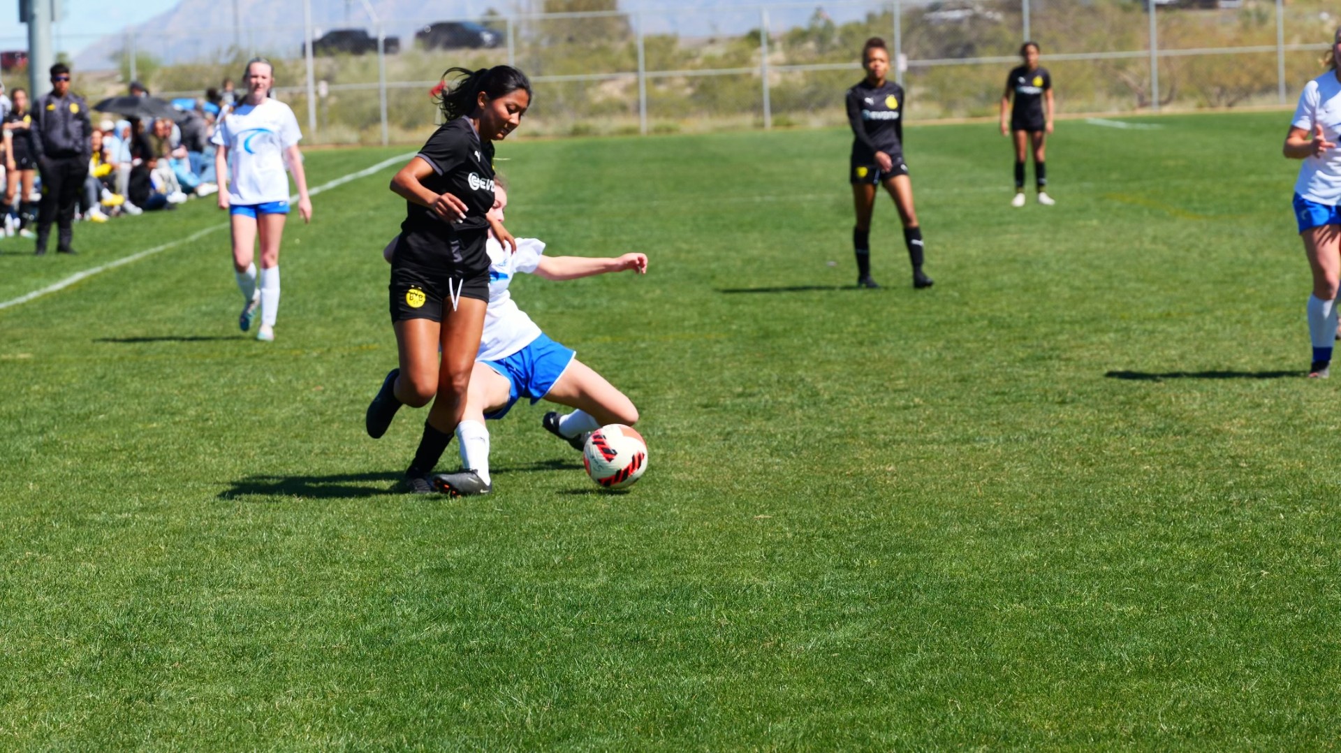 BVB International Academy - Arizona