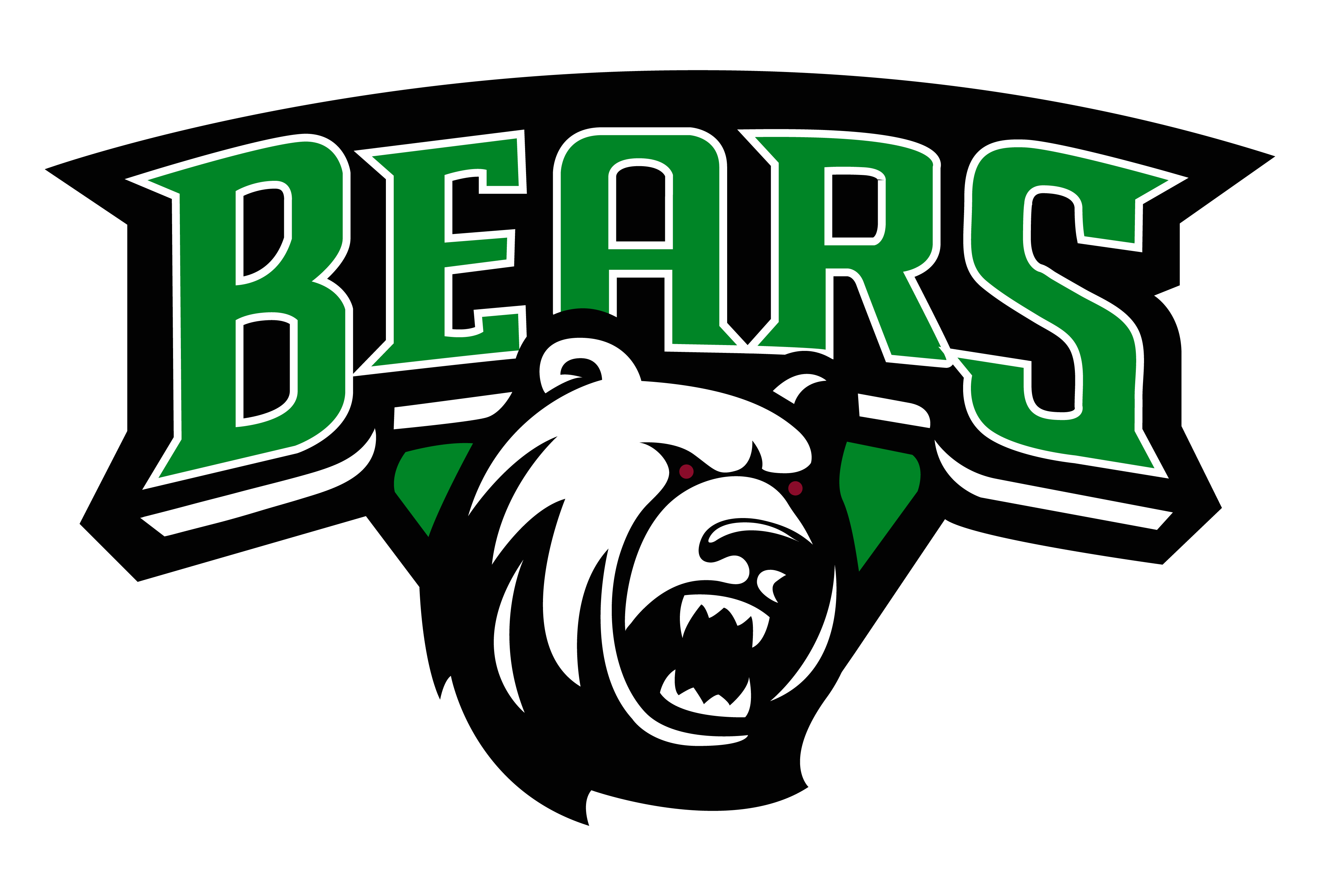 Bears