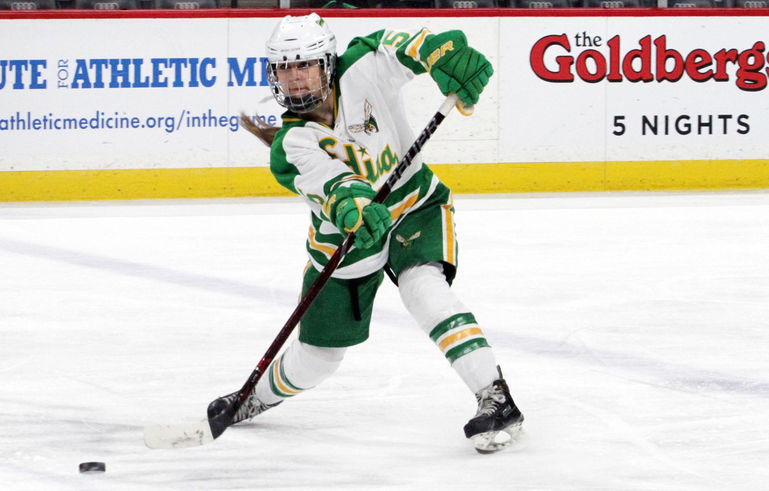 Sportcast vk хоккей