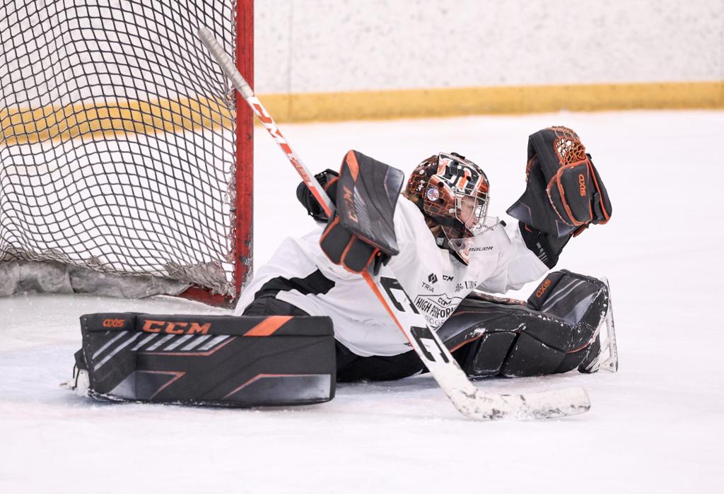 Goalies