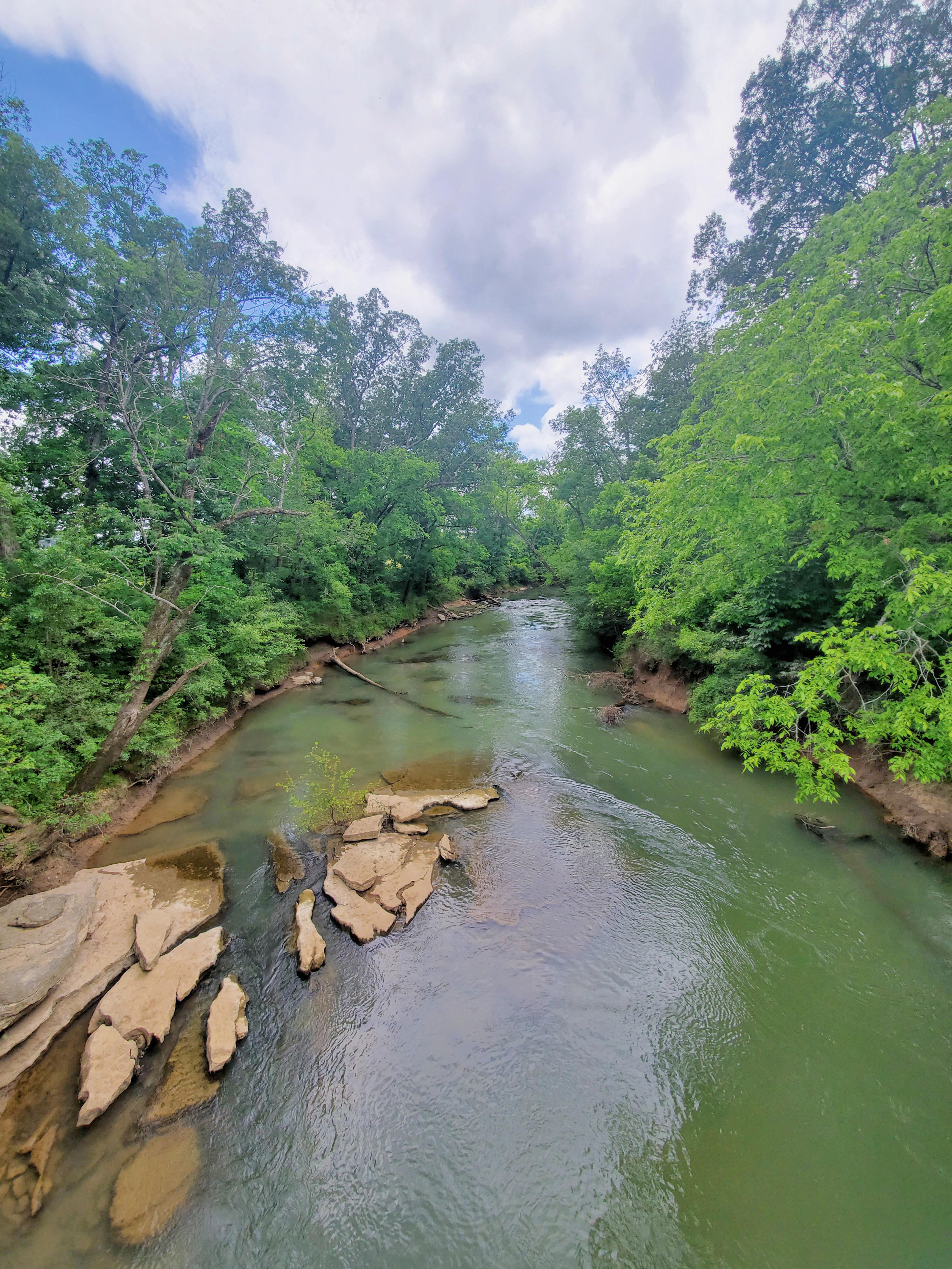Walking Track at Camp Jordan