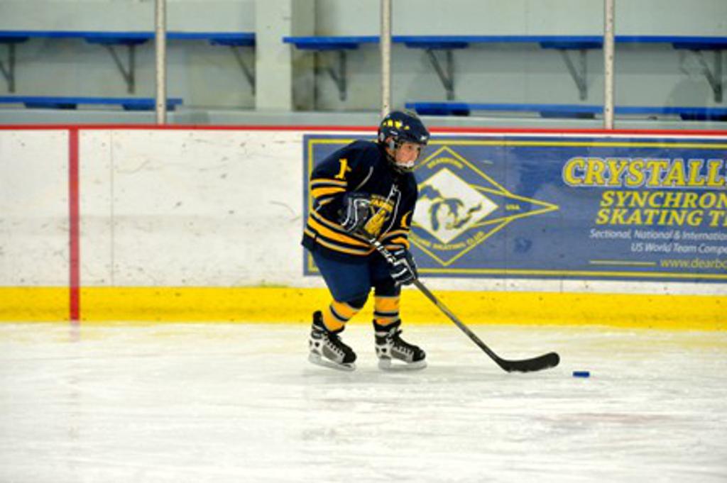Association Photos Photos Wyandotte Warriors Hockey Association