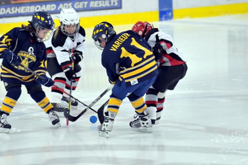 Association Photos Photos Wyandotte Warriors Hockey Association