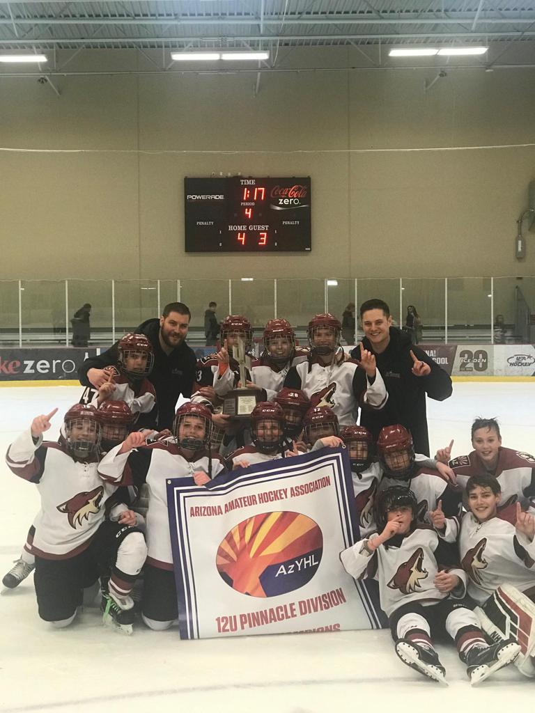 arizona travel hockey